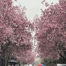 西安旅游 缩略图 5