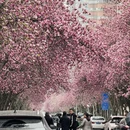 西安旅游 缩略图 2