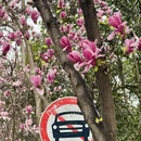 西安旅游 缩略图 6