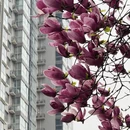 西安旅游 缩略图 12