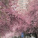 西安旅游 缩略图 9