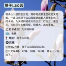 成都旅游 缩略图 3
