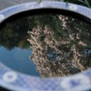 成都旅游 缩略图 7