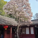 成都旅游 缩略图 1