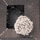成都旅游 缩略图 12