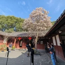 成都旅游 缩略图 3