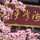 成都旅游 缩略图 11