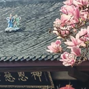 成都旅游 缩略图 15