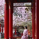 成都旅游 缩略图 2