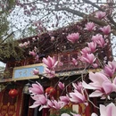 成都旅游 缩略图 3
