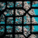 成都旅游 缩略图 7