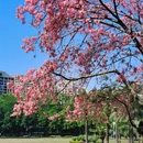 深圳旅游 缩略图 6