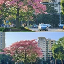 深圳旅游 缩略图 10