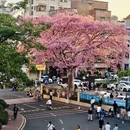 深圳旅游 缩略图 3