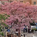 深圳旅游 缩略图 5