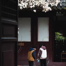 成都旅游 缩略图 6