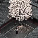 成都旅游 缩略图 7