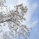 成都旅游 缩略图 8