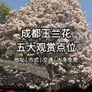 成都旅游 缩略图 1