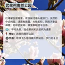 成都旅游 缩略图 5