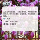 成都旅游 缩略图 6