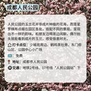 成都旅游 缩略图 4