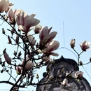 成都旅游 缩略图 6