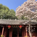 成都旅游 缩略图 8