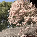 成都旅游 缩略图 13