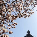 成都旅游 缩略图 14