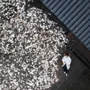 成都旅游 缩略图 2