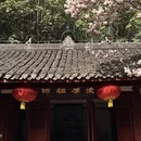 成都旅游 缩略图 17