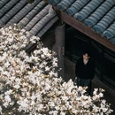 成都旅游 缩略图 5