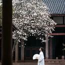 成都旅游 缩略图 13