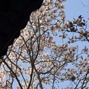 成都旅游 缩略图 6
