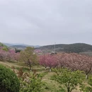 大连旅游 缩略图 7