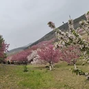 大连旅游 缩略图 9