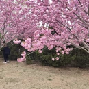 大连旅游 缩略图 11