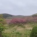 大连旅游 缩略图 10