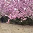 大连旅游 缩略图 5
