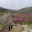 大连旅游 缩略图 6