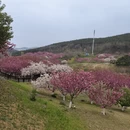大连旅游 缩略图 7