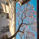 苏州旅游 缩略图 8