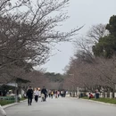 北京旅游 缩略图 9