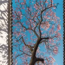 苏州旅游 缩略图 5