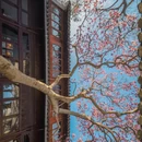苏州旅游 缩略图 9