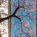 苏州旅游 缩略图 10