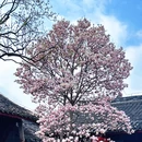 金华旅游 缩略图 1