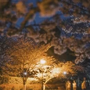 青岛旅游 缩略图 8