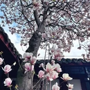 金华旅游 缩略图 2